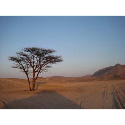 Die neuesten Urlaubsfotos