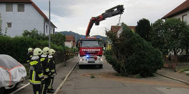Sturmschäden in NÖ, Steiermark, Burgenland