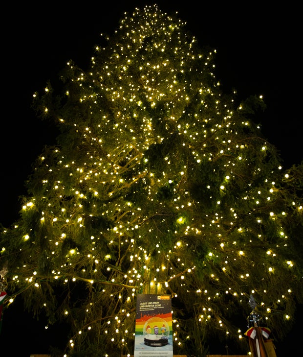 Christbaum Wien