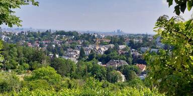 kleingartenverein hackenberg