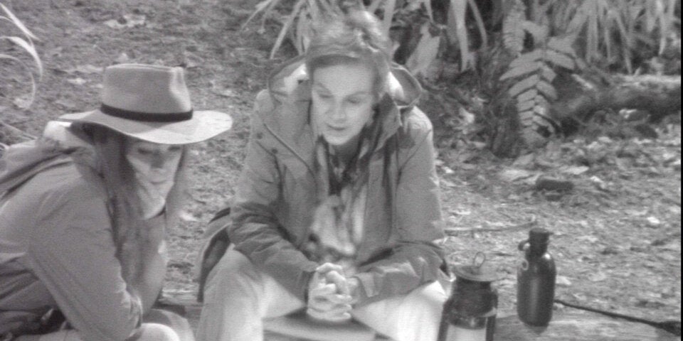 Kirchberger Dschungel