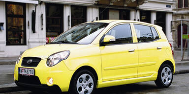 Niedlicher City-Floh aus Fernost