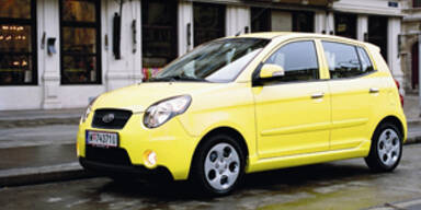 Niedlicher City-Floh aus Fernost