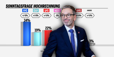 kickl umfrage.png
