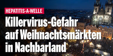 Killervirus-Gefahr auf Weihnachtsmärkten in Nachbarland