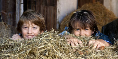 Kinder vom Bauernhof entwickeln viel seltener Allergien