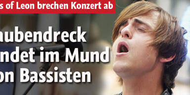 Kings of Leon mit Taubendreck attackiert