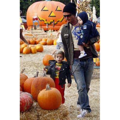 Kürbis-Mania in Hollywood