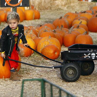 Kürbis-Mania in Hollywood