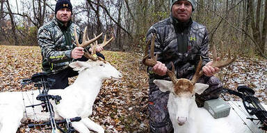 Jäger tötet Albino-Hirsch - Shitstorm 