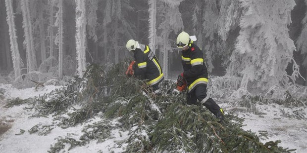Jetzt kommt der Schnee