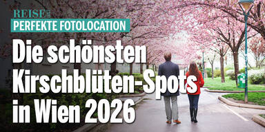 Perfekte Fotolocation: Die schönsten Kirschblüten-Spots in Wien 2026