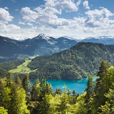 Kitzbühler Alpen (T): Sonnig, 15° in 1000 m