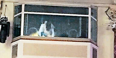 Sex-Pärchen trieb es bei TU-Ball