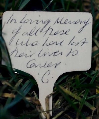 Kate William Garden of Memory