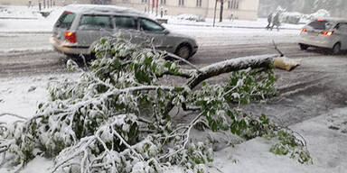 Todesopfer nach Wetter-Wahnsinn