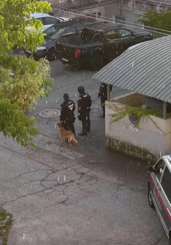 Neun Festnahmen, 25 Durchsuchungen: Polizei hebt Drogenring in Kärnten aus