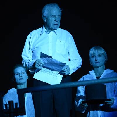 Linzer Klangwolke 2013