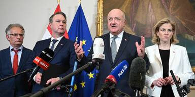 Stocker, Babler und Meinl-Reisinger