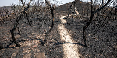 Vereinte Nationen wollen neuen Klima-Bericht vorstellen