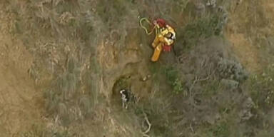 Hund fiel Klippe herunter und sa&szlig; fest &ndash; gerettet