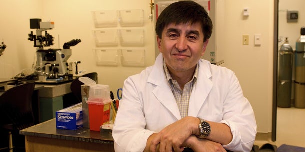 Mensch-Stammzellen durch Klonen erschaffen