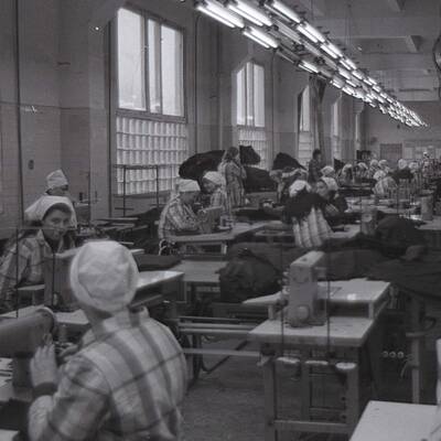 Ukraines Ex-Regierungschefin wurde zu 7 Jahre Straflager verurteilt