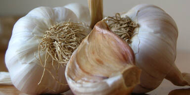 Heilen mit der scharfen Trend-Knolle