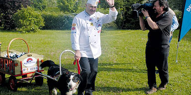 Diebin stahl Koch Auto samt Hund