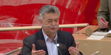 Nationalrat | Werner Kogler gegen Herbert Kickl 