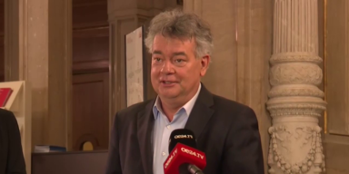 Werner Kogler
