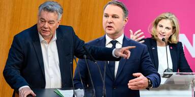 Kogler, Meinl, Babler