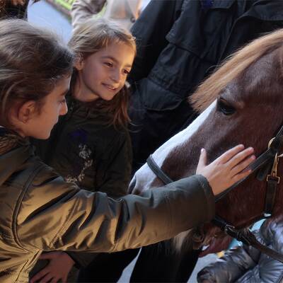 Komani-Zwillinge amüsieren sich im Prater