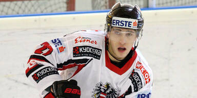 Bullen holen Talent Komarek