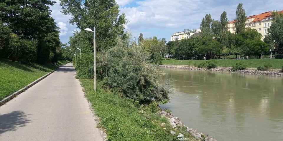 donaukanal rettung