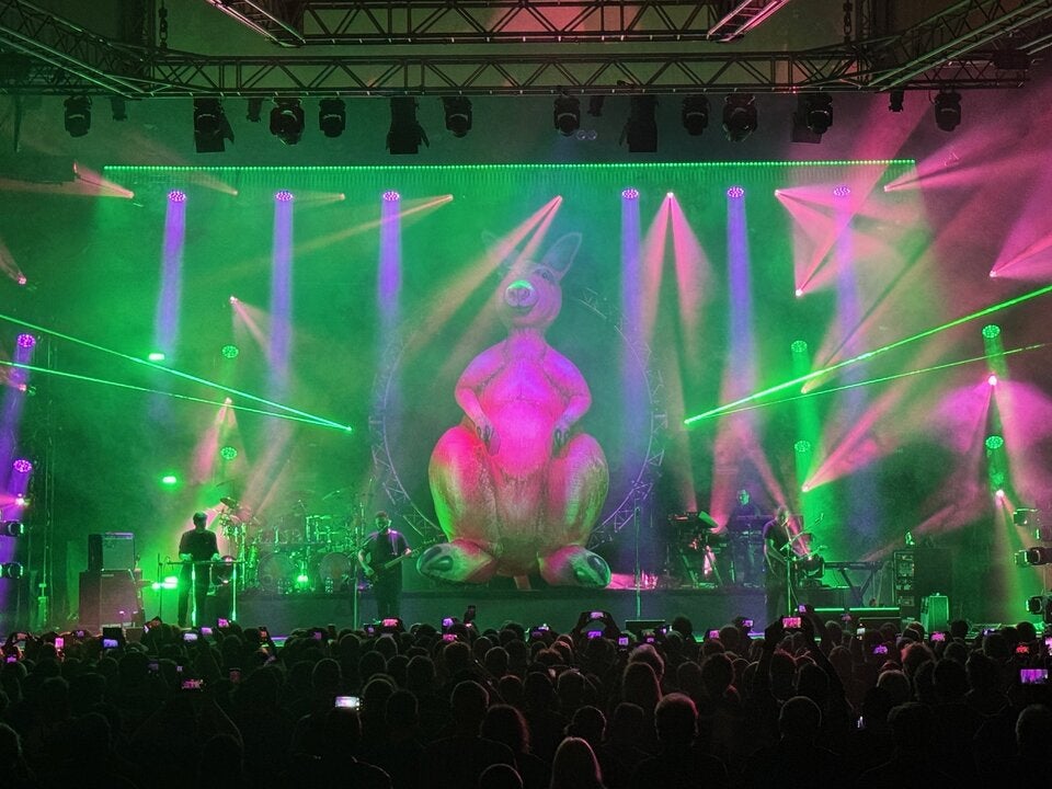 The Australian Pink Floyd lieferten Konzerthit mit Känguru