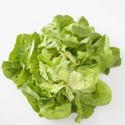 10. Markstammkohl: Kommt bei uns hauptsächlich als Tierfutter in Einsatz. In Portugal und Galizien wird eine Variante des Kohl im Nationalgericht 