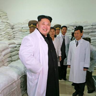 Irrer Kim bei einer Fabrikbesichtigung 