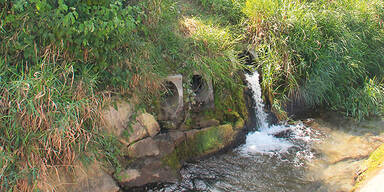 Grundwasser Korneuburg