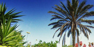 Abheben nach Korsika!