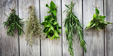 Auch Kr&auml;uter haben Nebenwirkungen