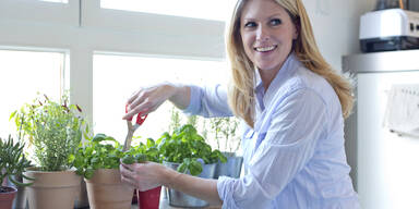 Die besten Kr&auml;uter f&uuml;r den Magen