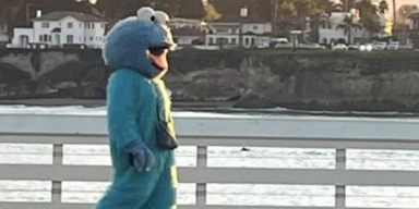 Polizei warnt: Abstand halten von Horror-Kr&uuml;melmonster