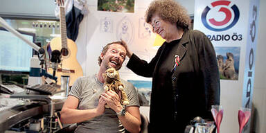 Kratky: Seelen-Strip bei Spira