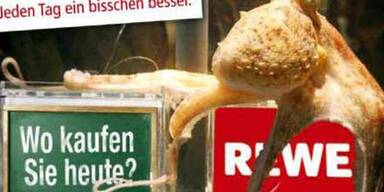 Krake Paul zieht 1. Werbedeal an Land