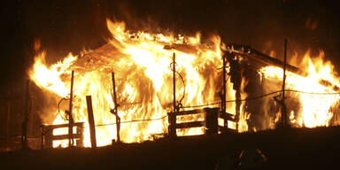 Gartenhütte geht in Flammen auf