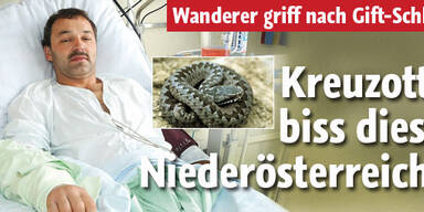 Nach Gift-Biss auf Intensiv-Station