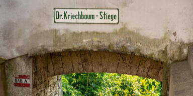 Kriechbaumstiege