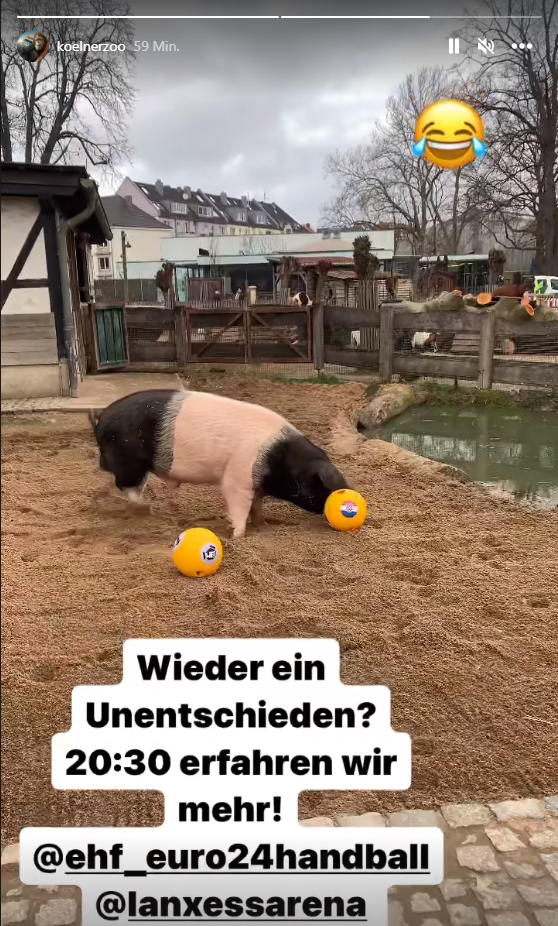 Der kroatische Futterball hat es 