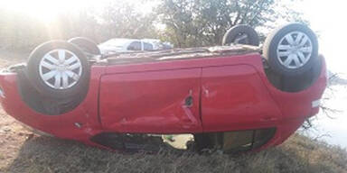 Kuriose Safari: Elefant dreht Touri-Auto um